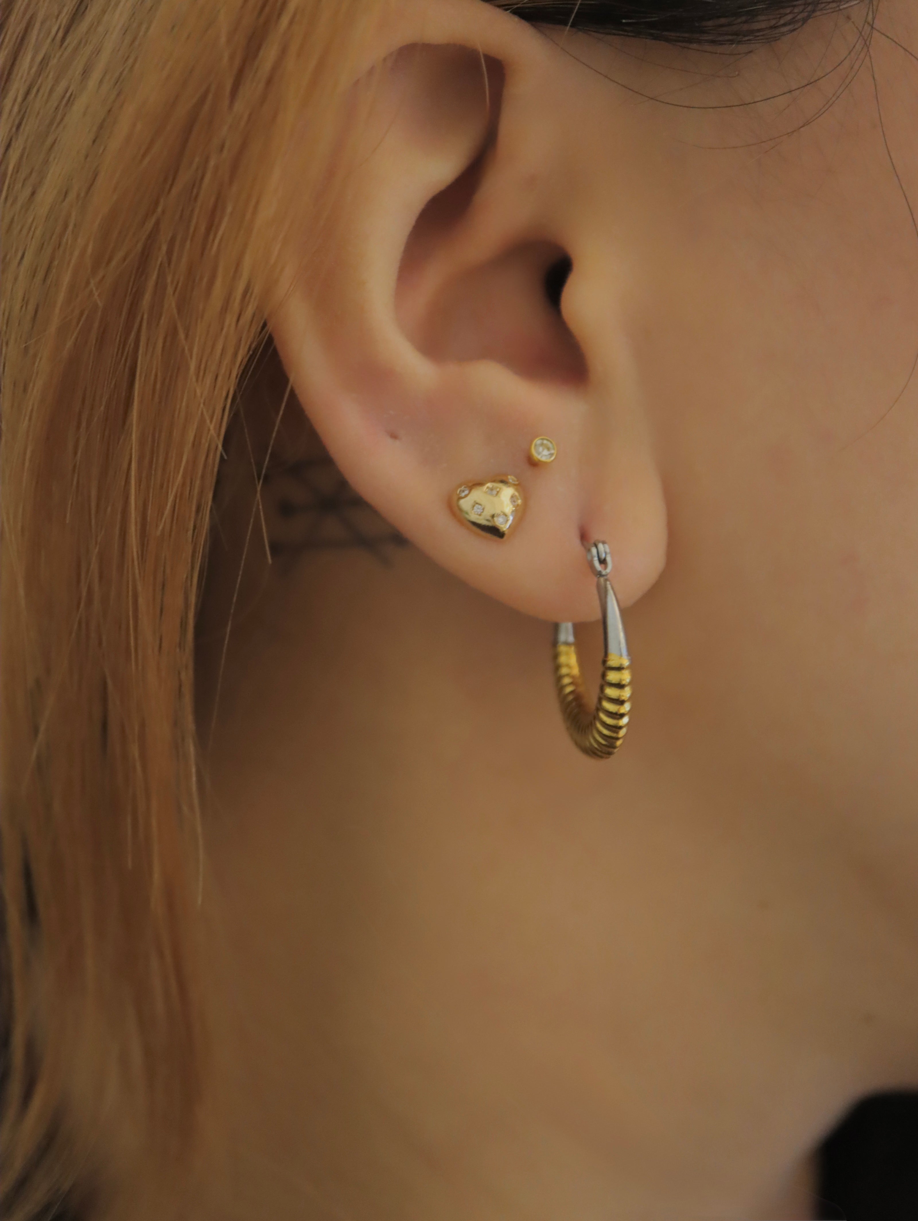 Mix tone stainless steel earrings
