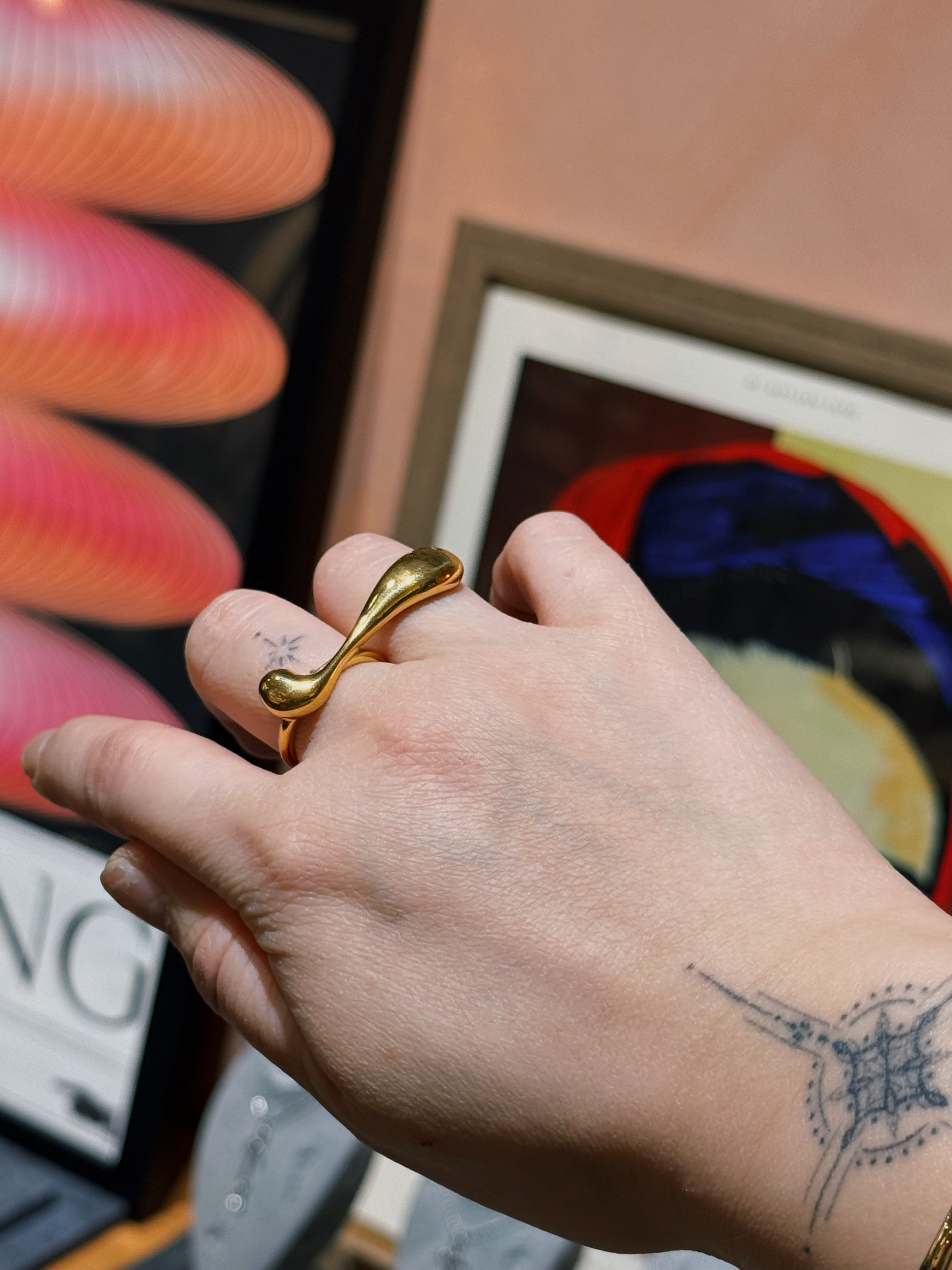 Stainless steel line adjustable ring