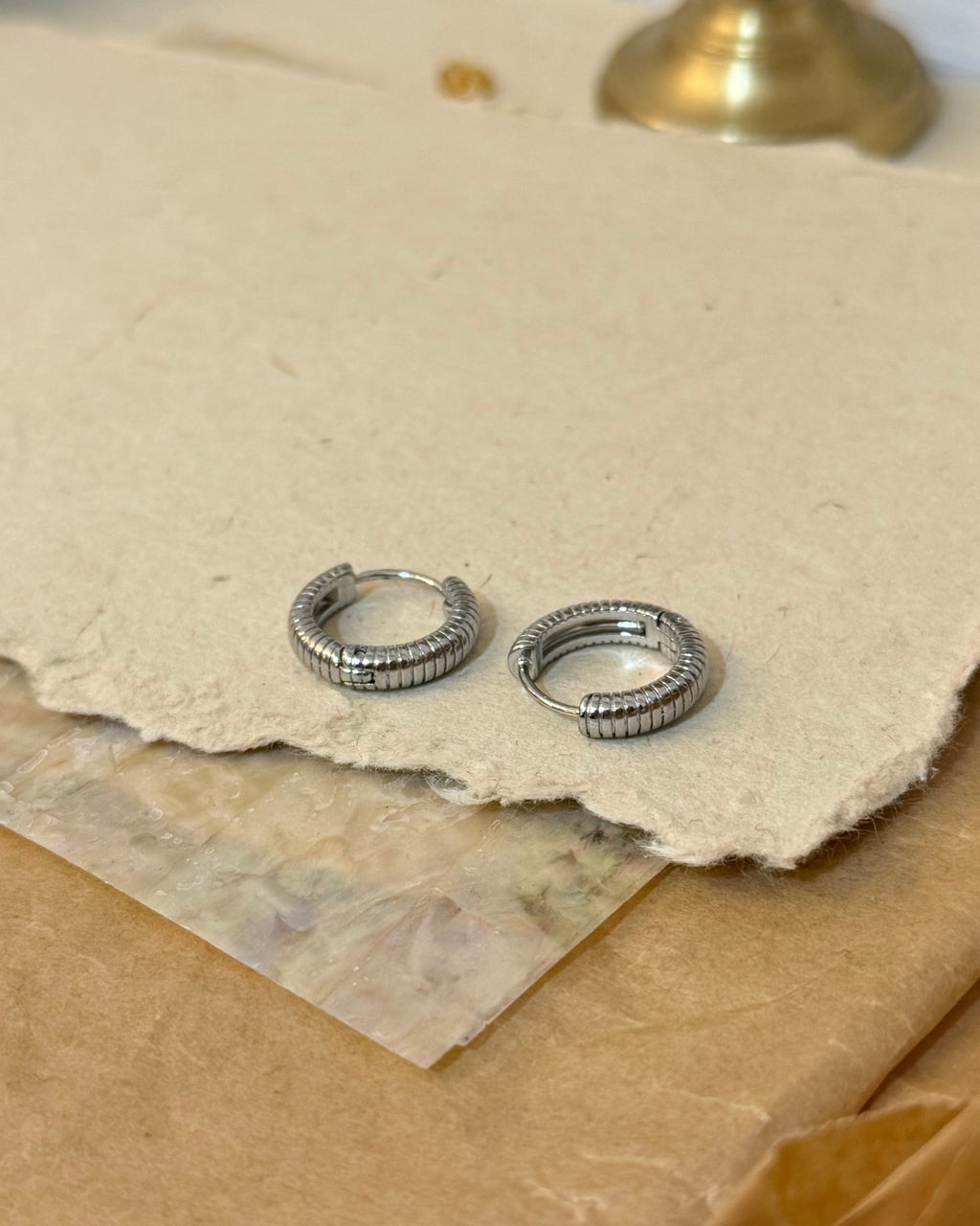 Striped hinged hoop stainless steel earrings