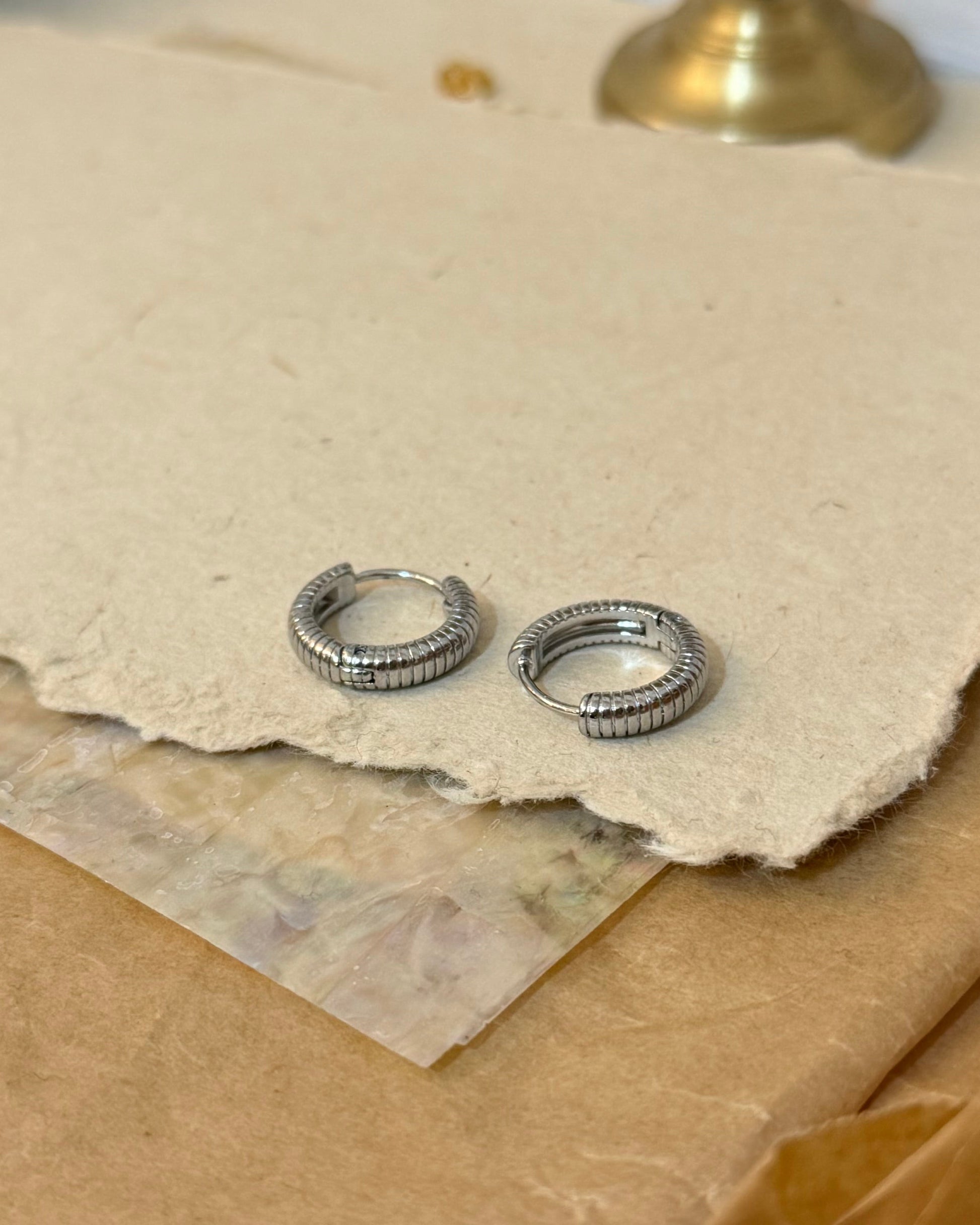 Striped hinged hoop stainless steel earrings