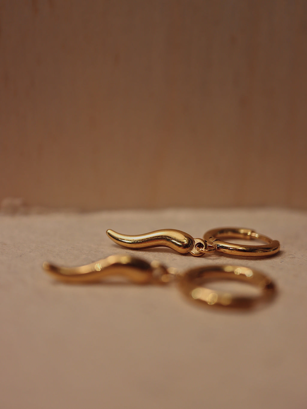 Stainless steel horn hoop earrings