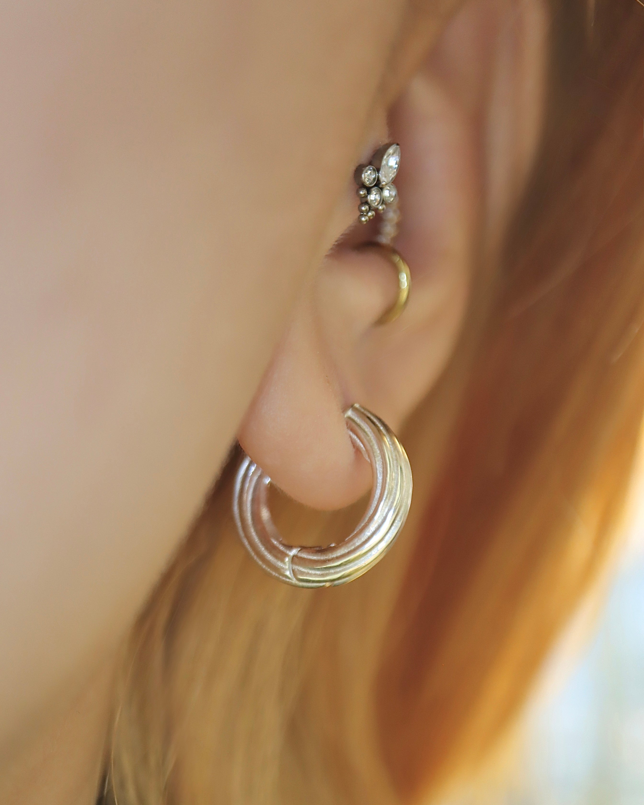 Titanium G23 Trinity Marquise Cluster Stud Earring