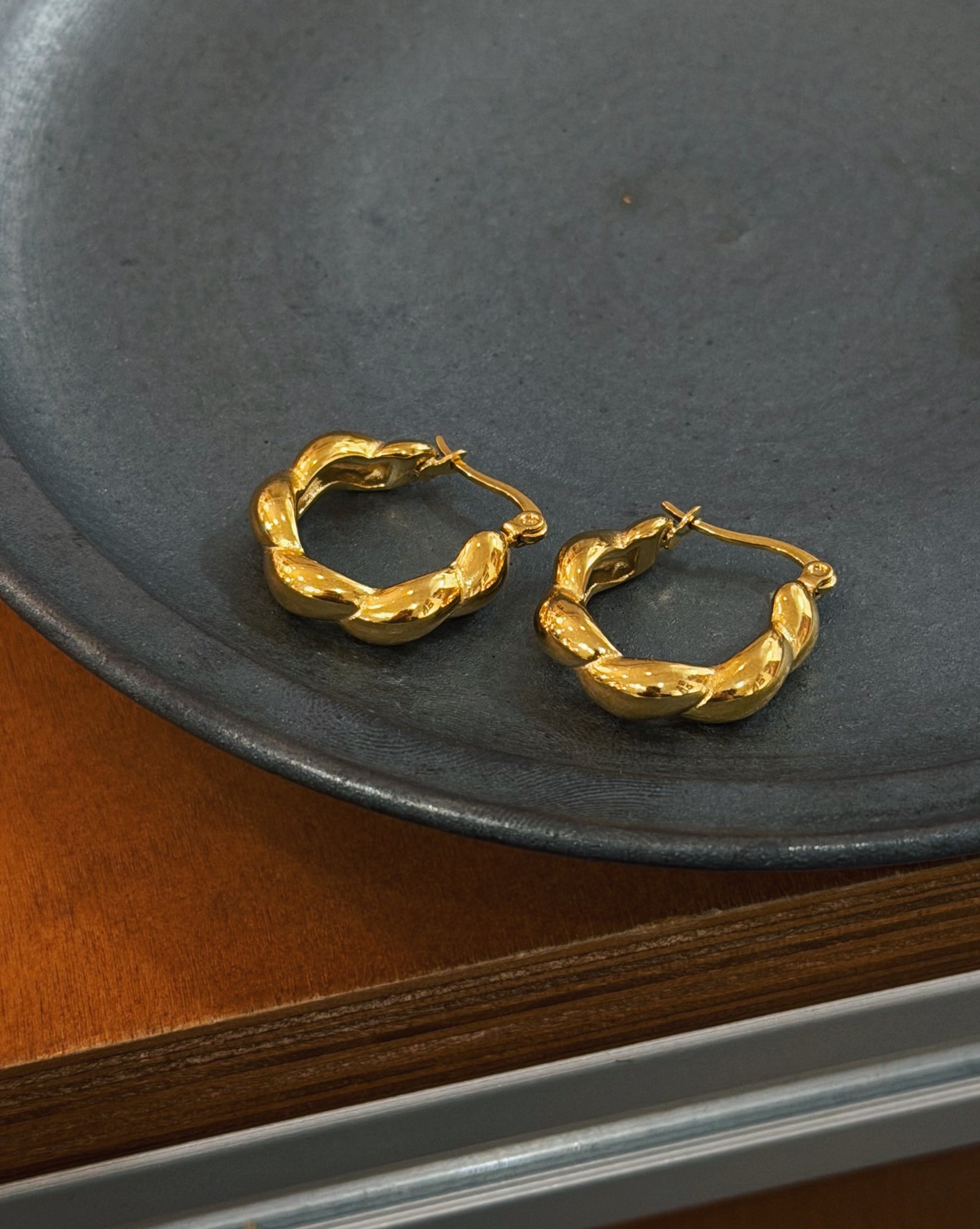 Stainless steel earrings