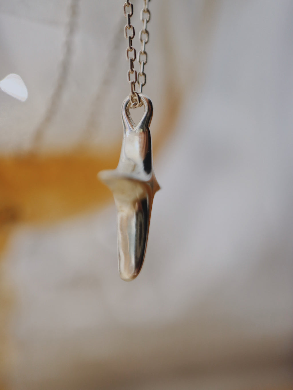 ❇️ Sparkle 925 silver necklace