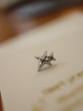 Double sparkle surgical steel earring (1pc)