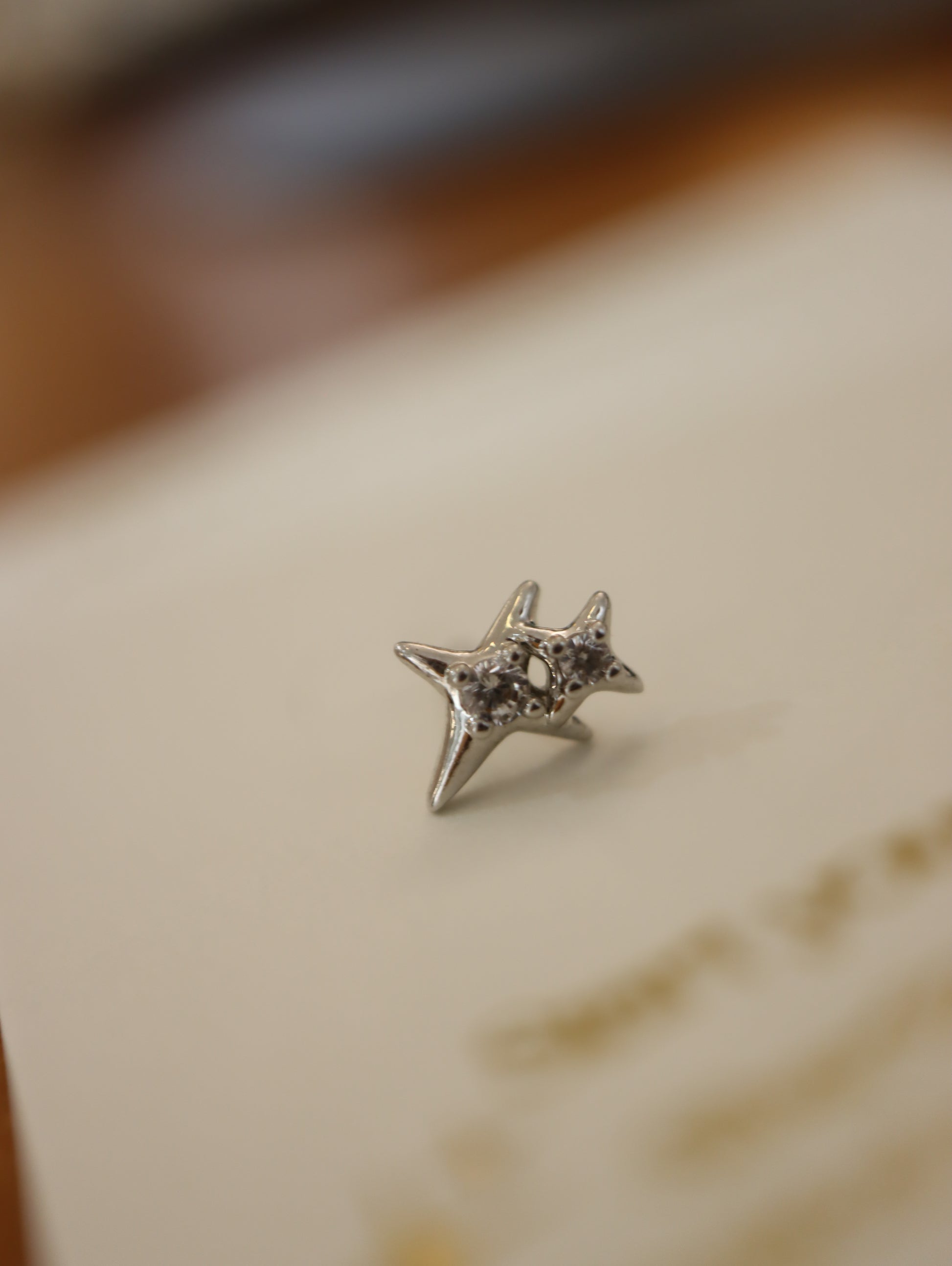 Double sparkle surgical steel earring (1pc)