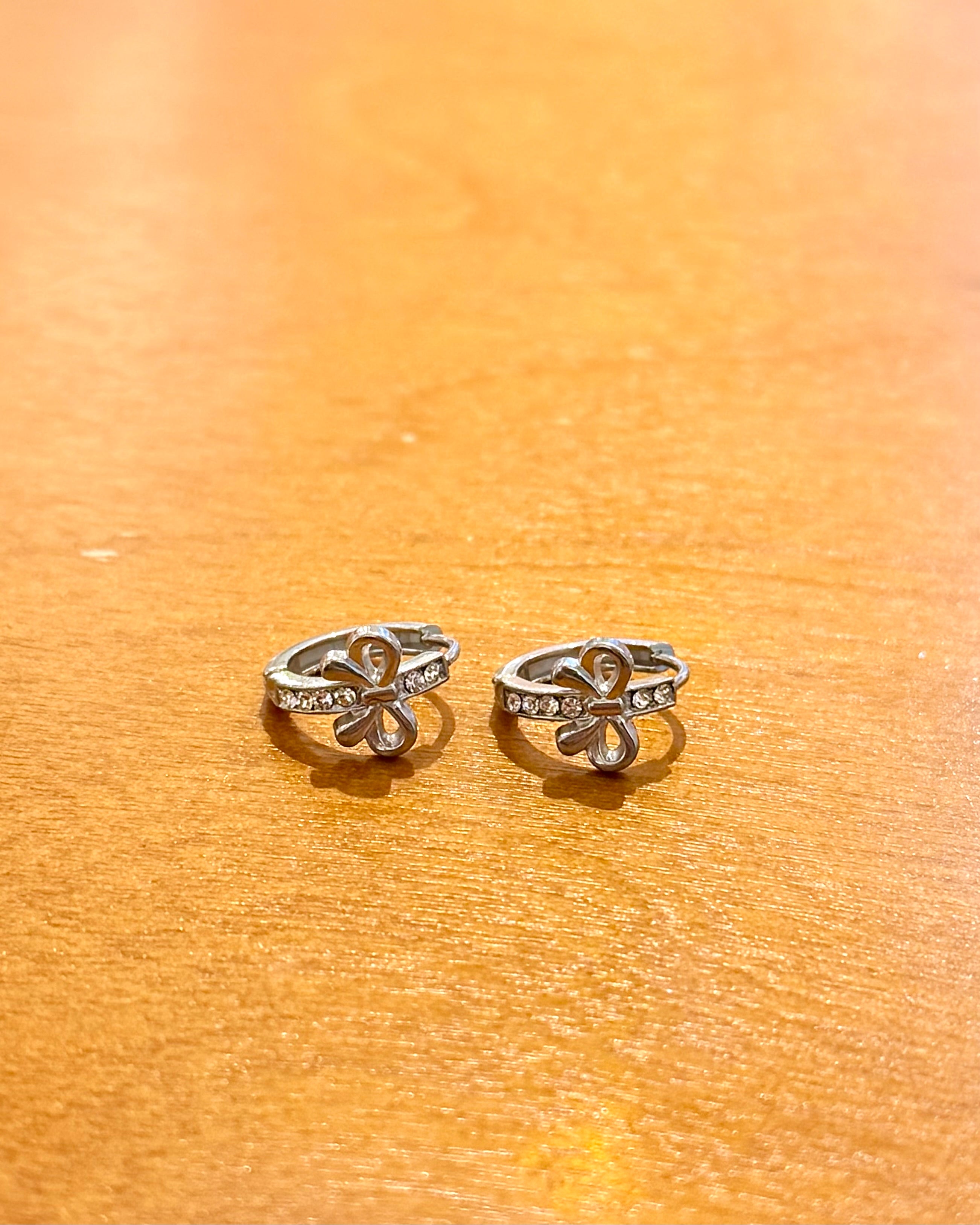 Ribbon cz stainless steel earrings