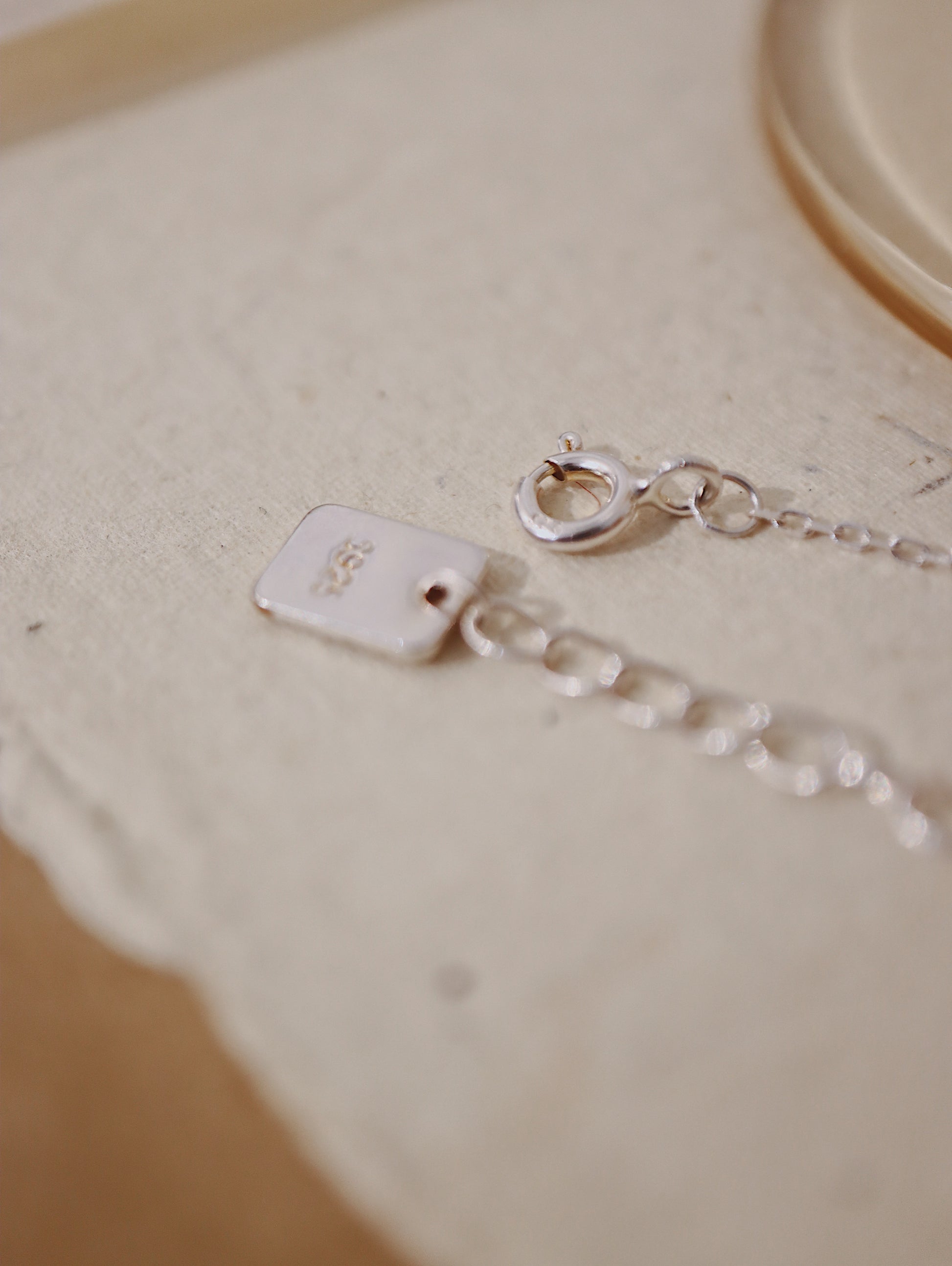 ❇️ Sparkle 925 silver necklace