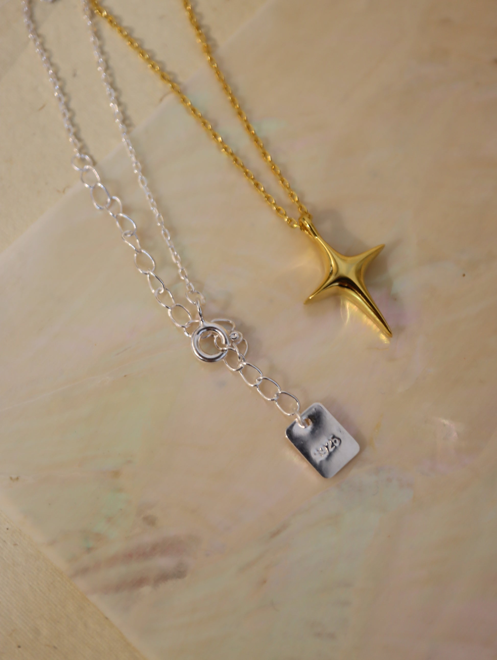 ❇️ Sparkle 925 silver necklace