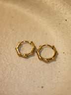 Bamboo Joint Stainless Steel Hoop Earrings