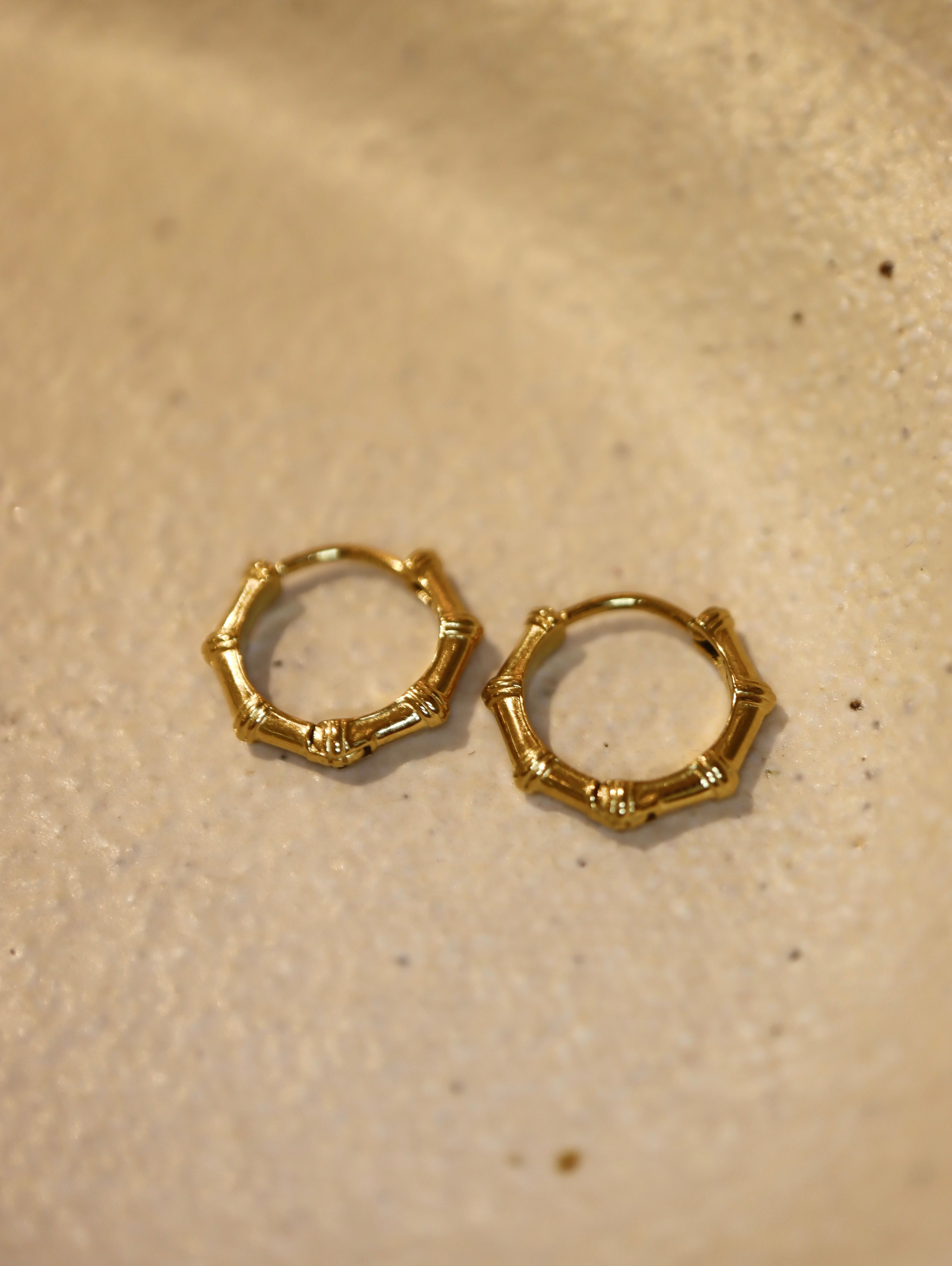 Bamboo Joint Stainless Steel Hoop Earrings
