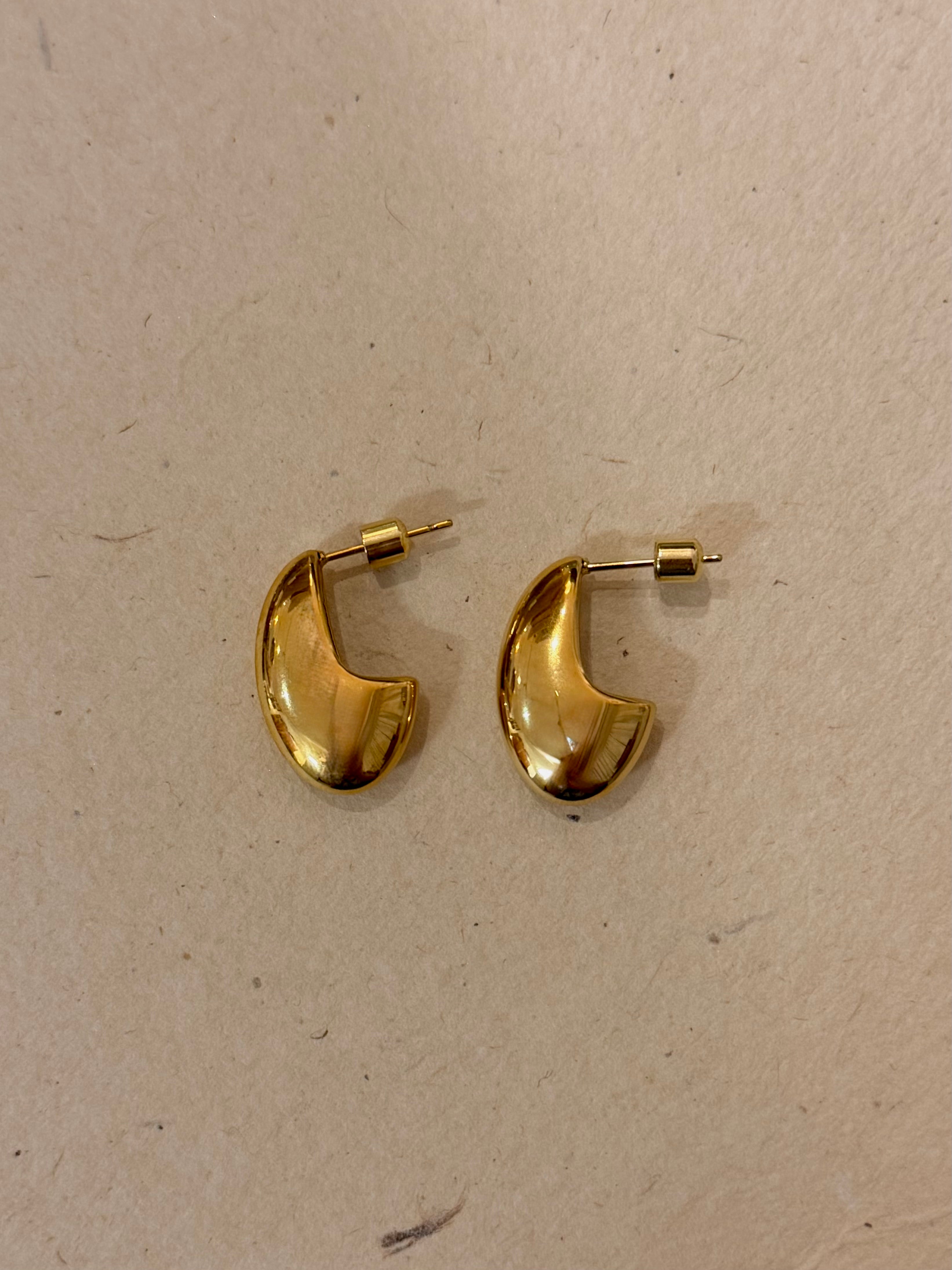 Eclipse Curve Stainless Steel Earrings