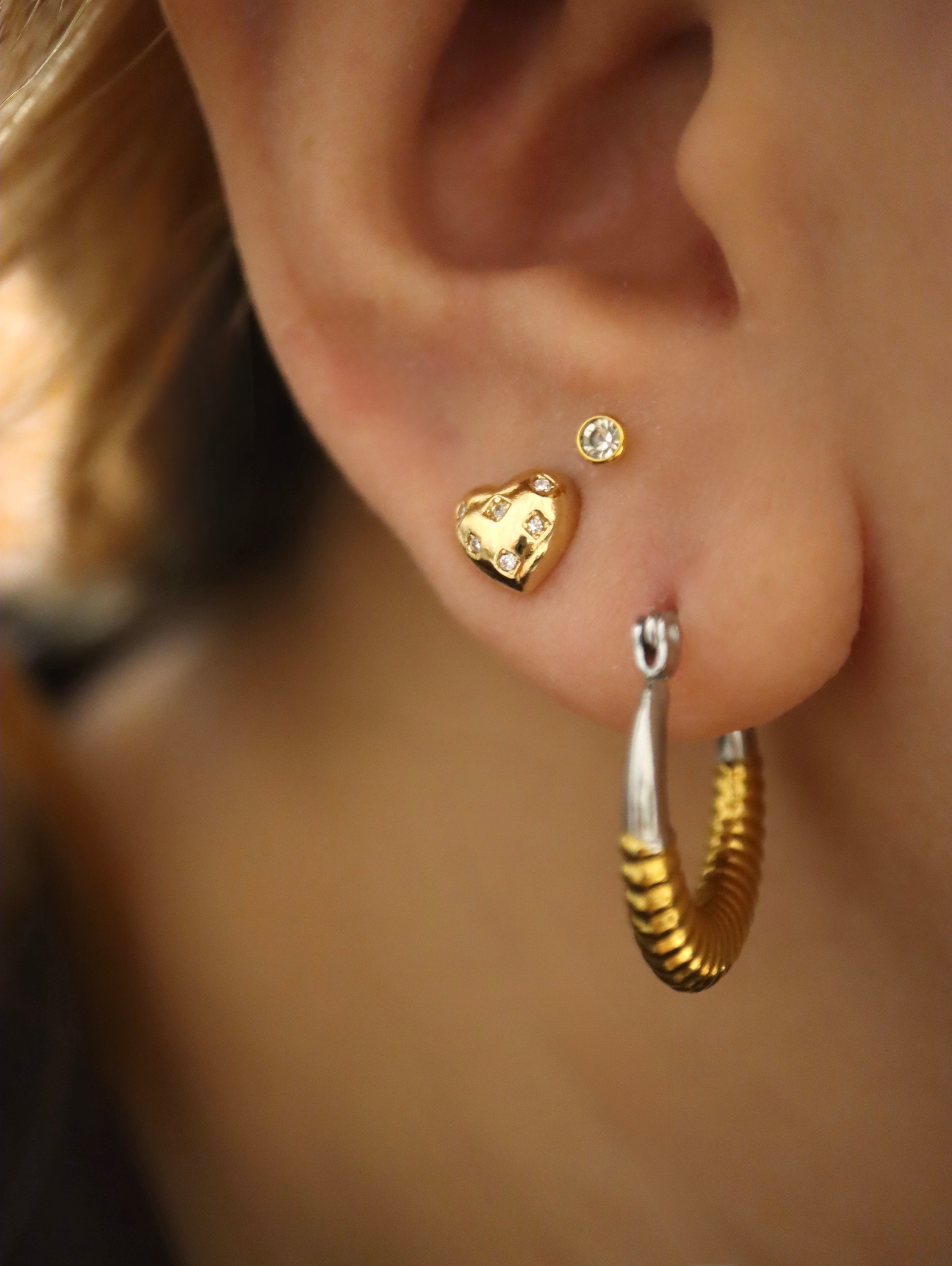 Mix tone stainless steel earrings