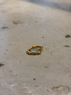 Lumen earclip