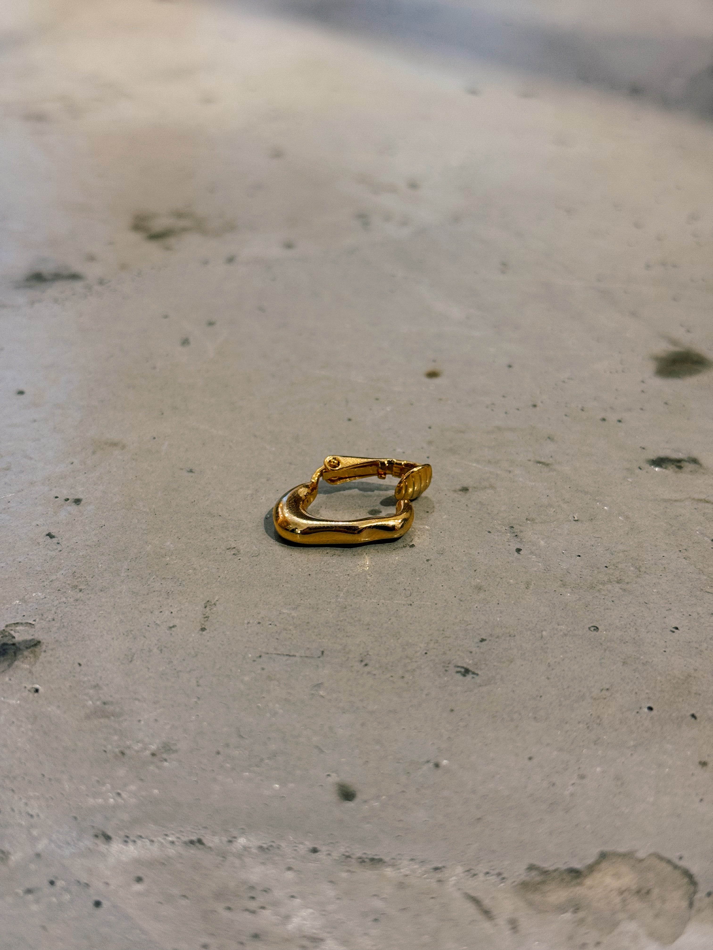 Lumen earclip