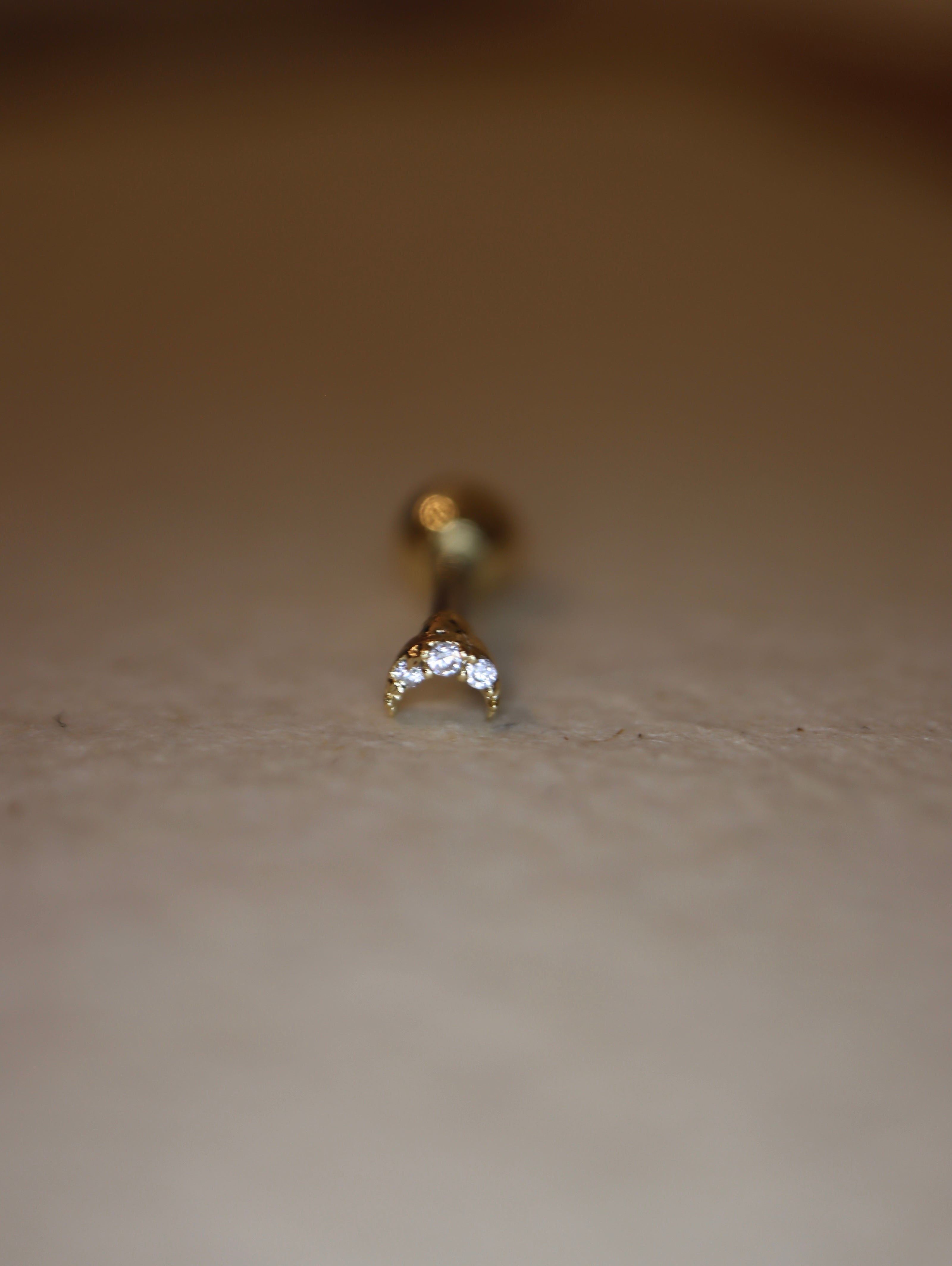 Mini crescent 🌙 surgical steel stud piercing earring