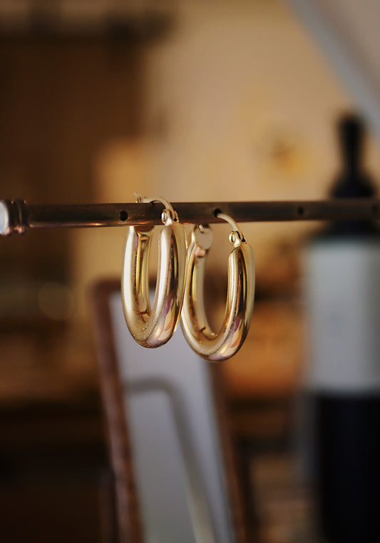 U shaped stainless steel hoop earrings