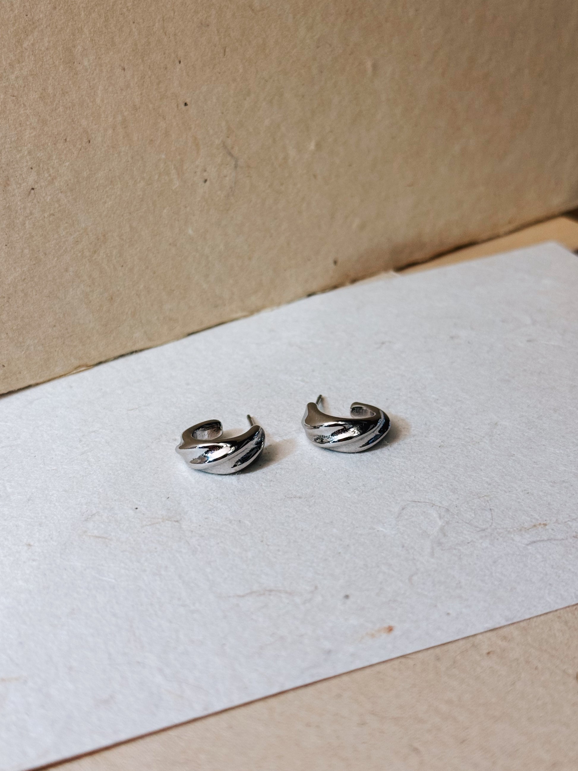 Twisted hoop stainless steel earrings