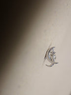 Crescent star surgical steel piercing