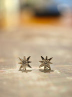 Stella Stud 925 Silver Earrings