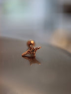 ✨ sparkle surgical steel stud piercing