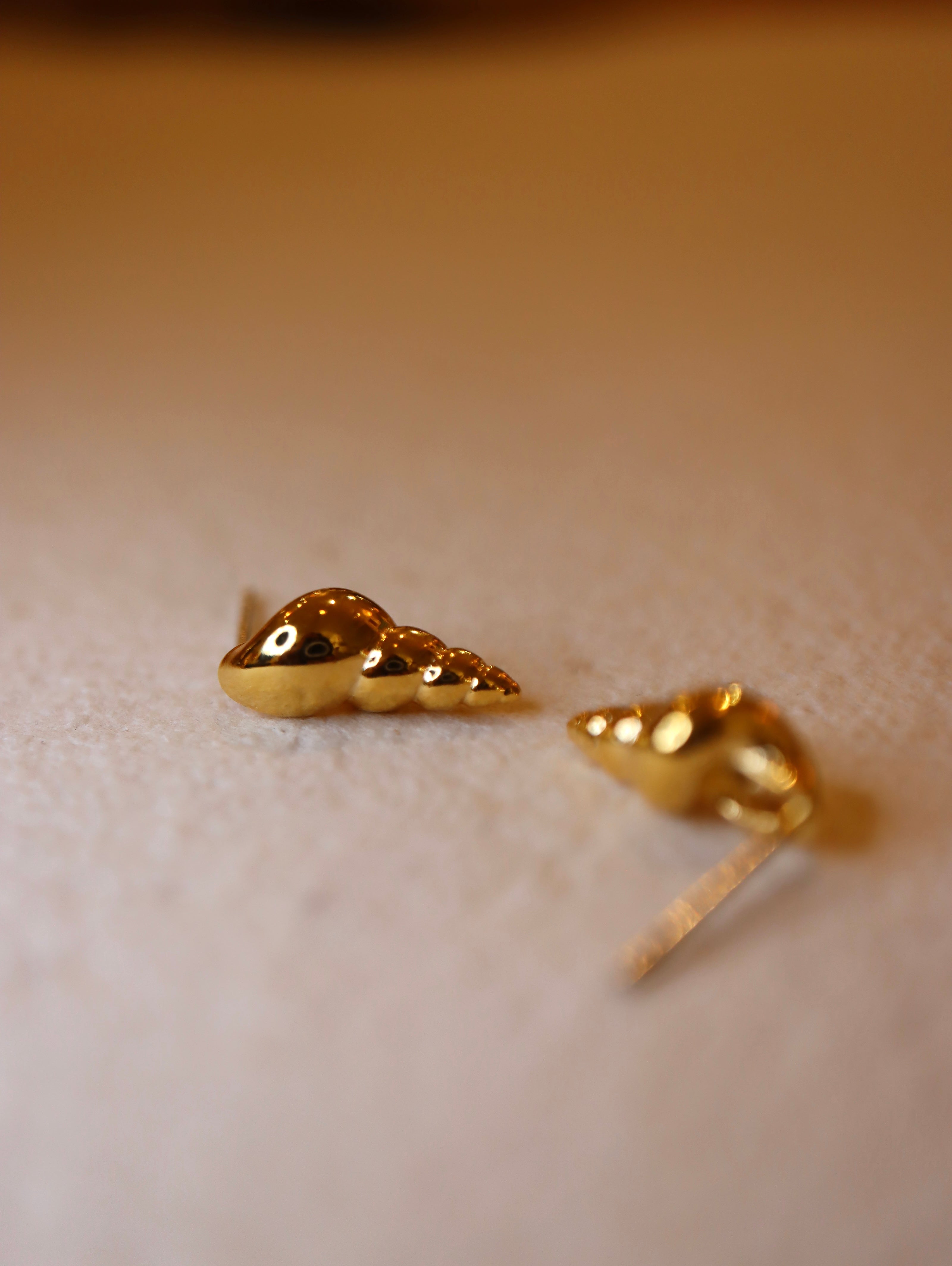 Conch Stud Brass Earrings