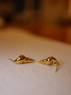 Conch Stud Brass Earrings
