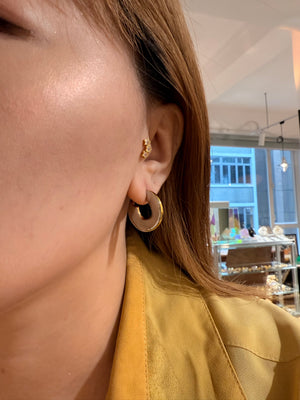 Two tone shiny stainless steel earrings