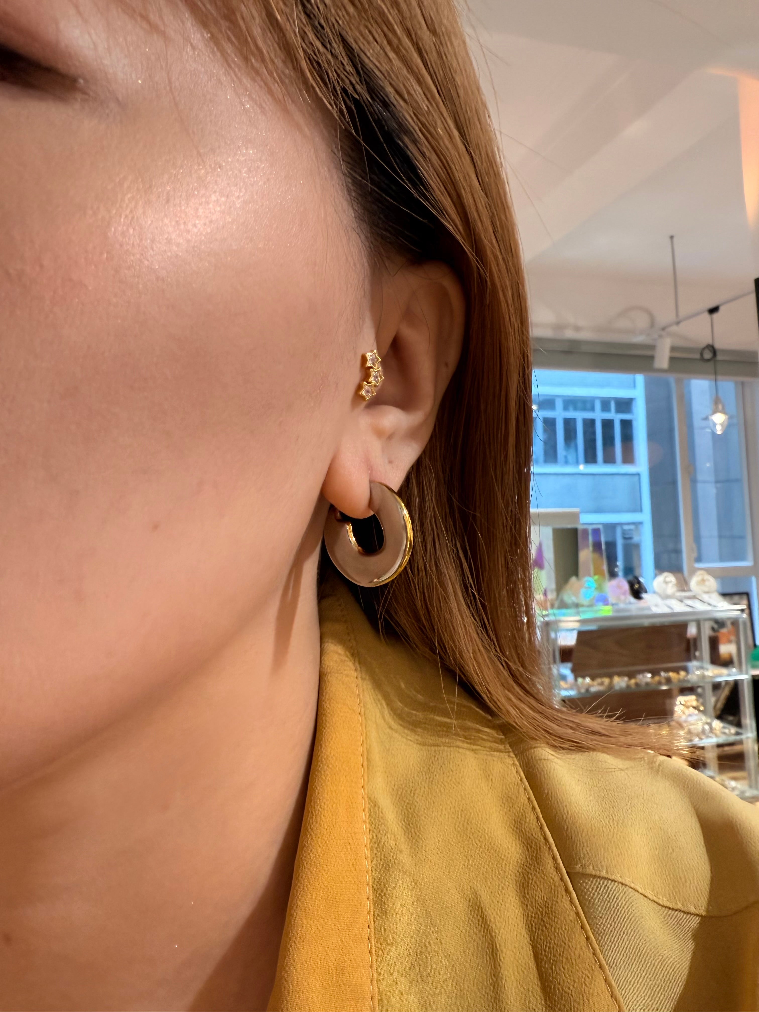 Two tone shiny stainless steel earrings