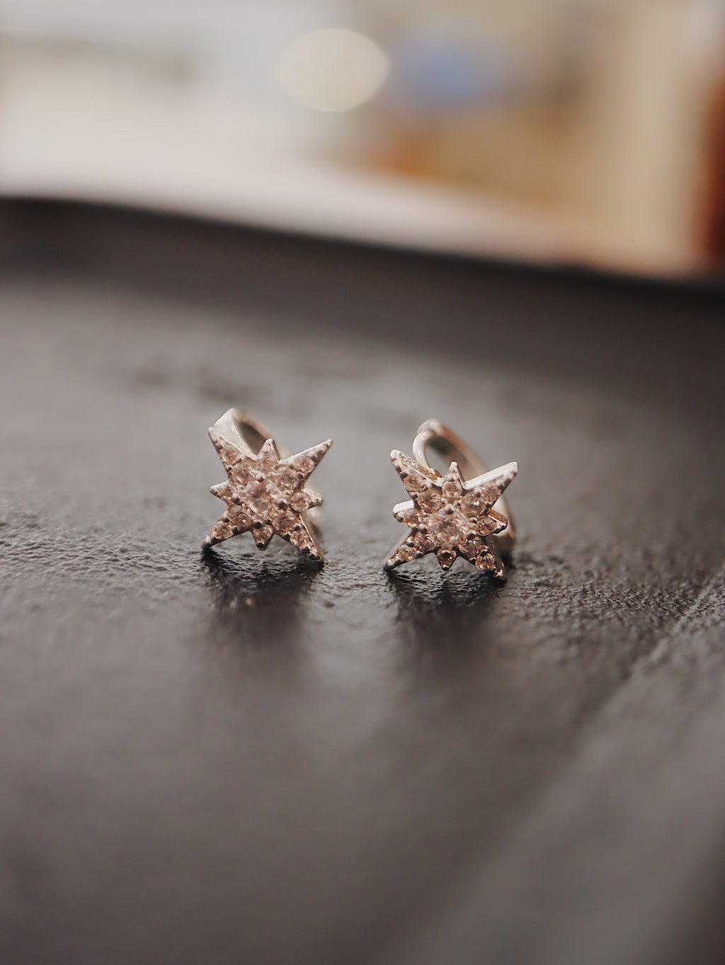 Stellar Surgical Steel Earrings