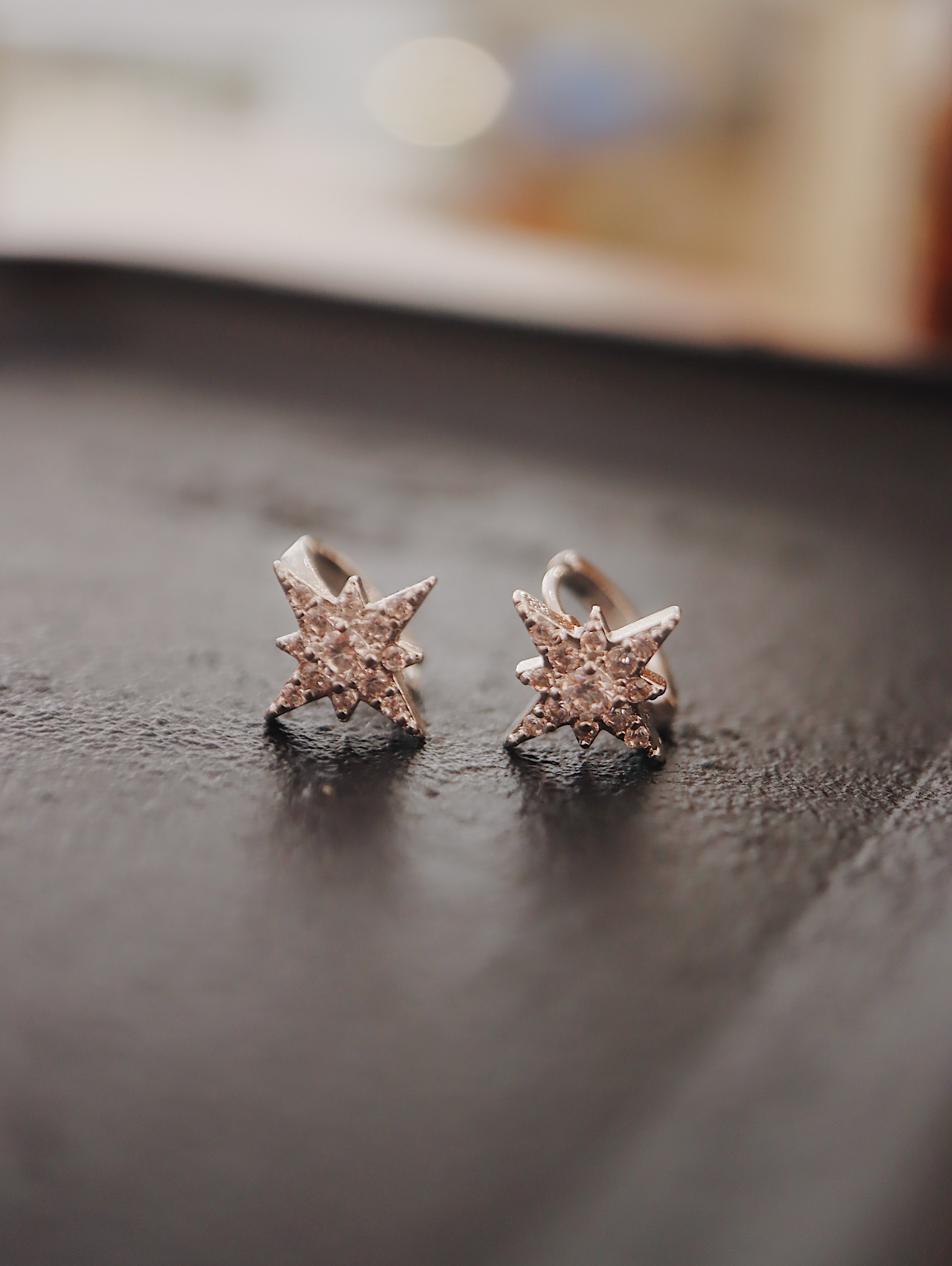 Stellar Surgical Steel Earrings