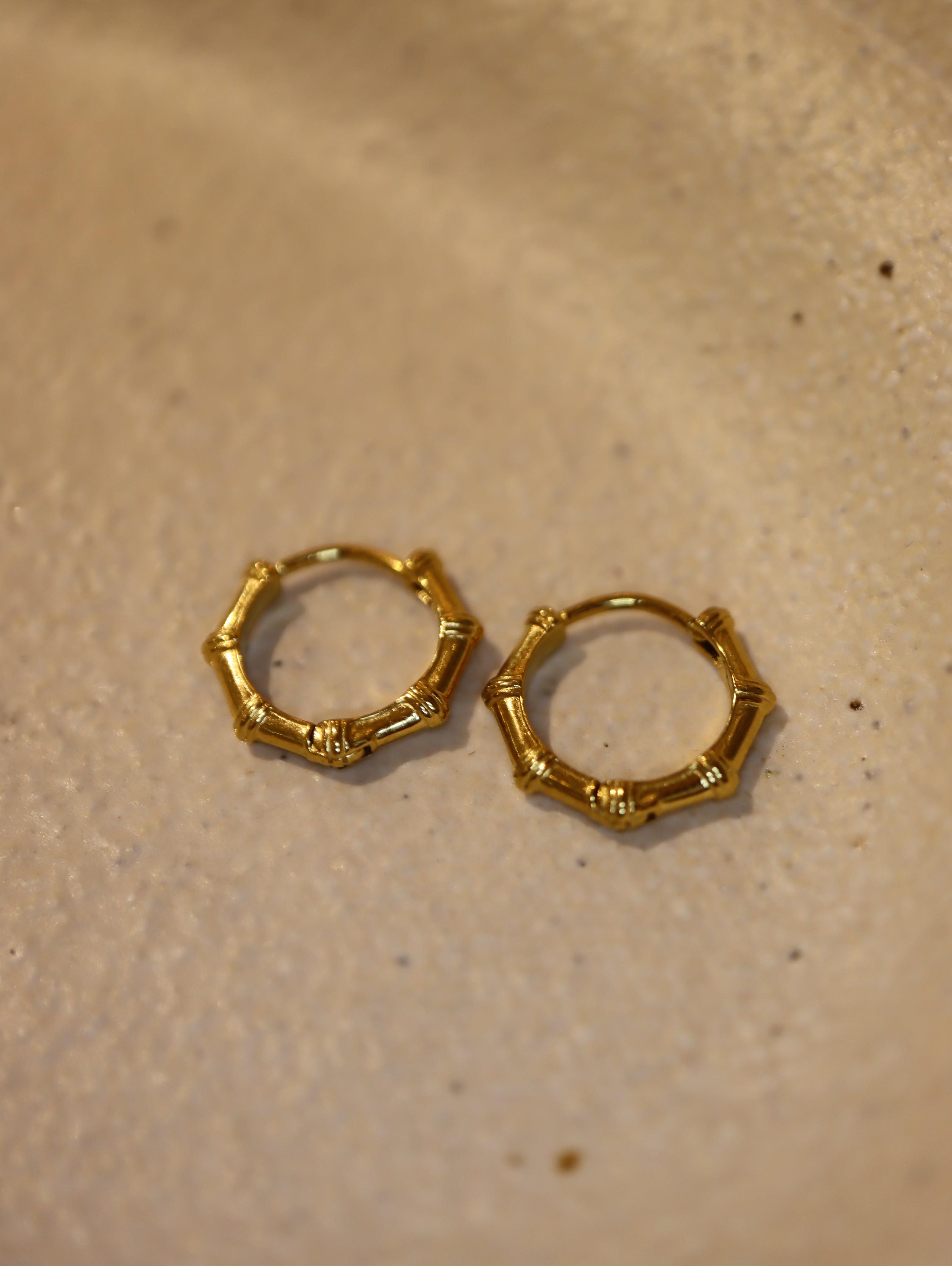 Stella Beaded Hoop Stainless Steel Earrings