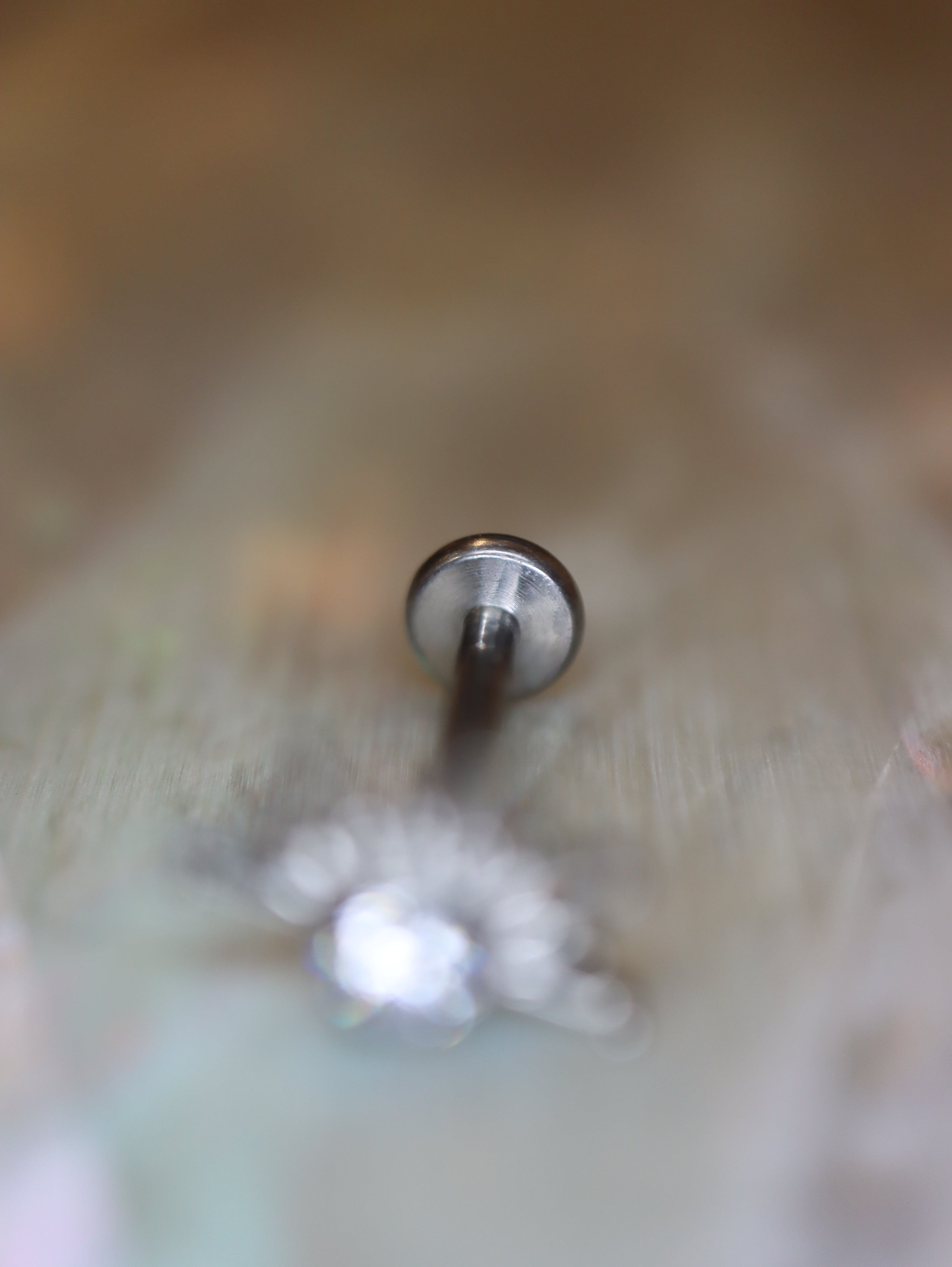 Titanium G23 Bezel Round Spike Crown Stud