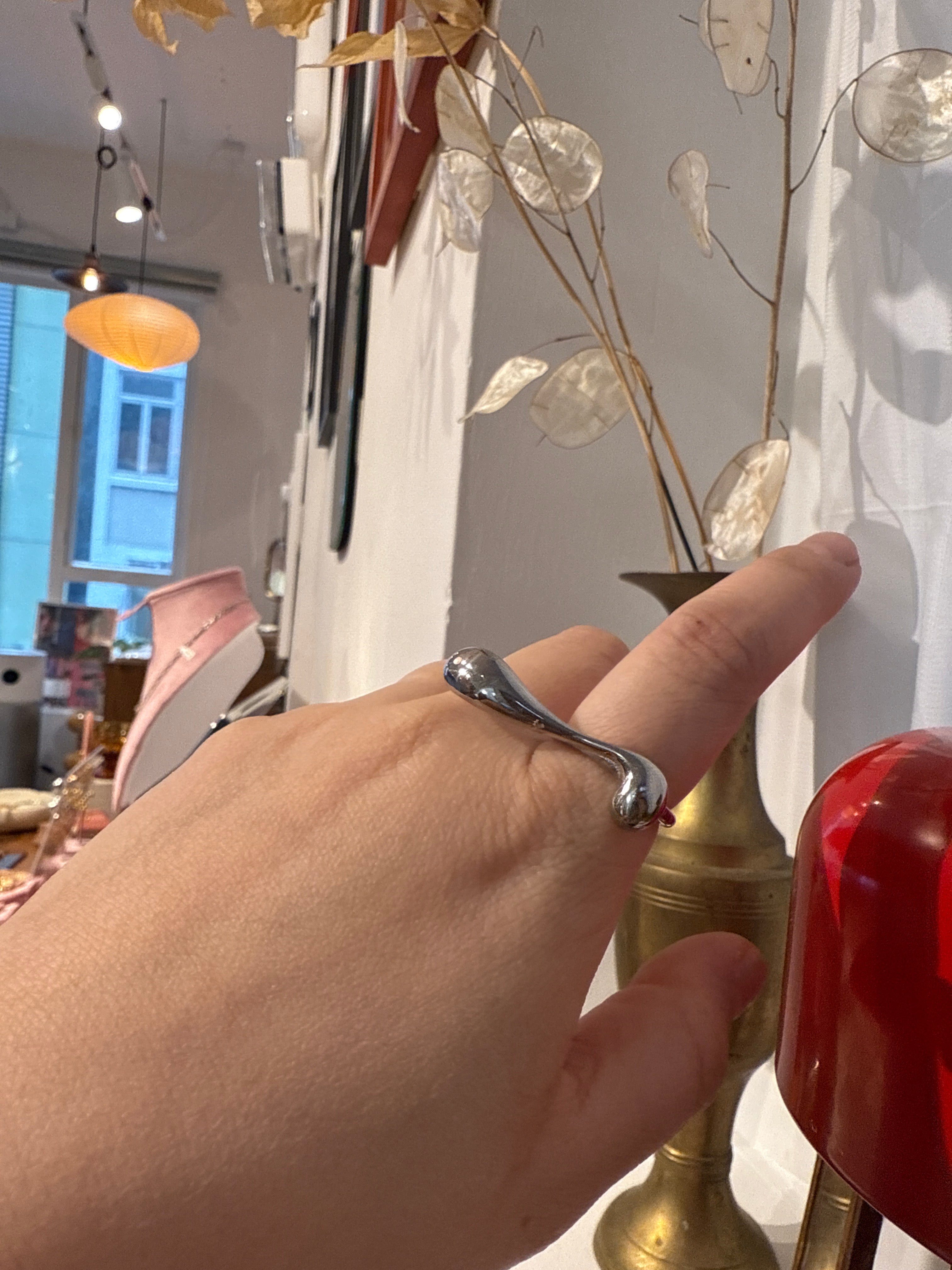Stainless steel line adjustable ring