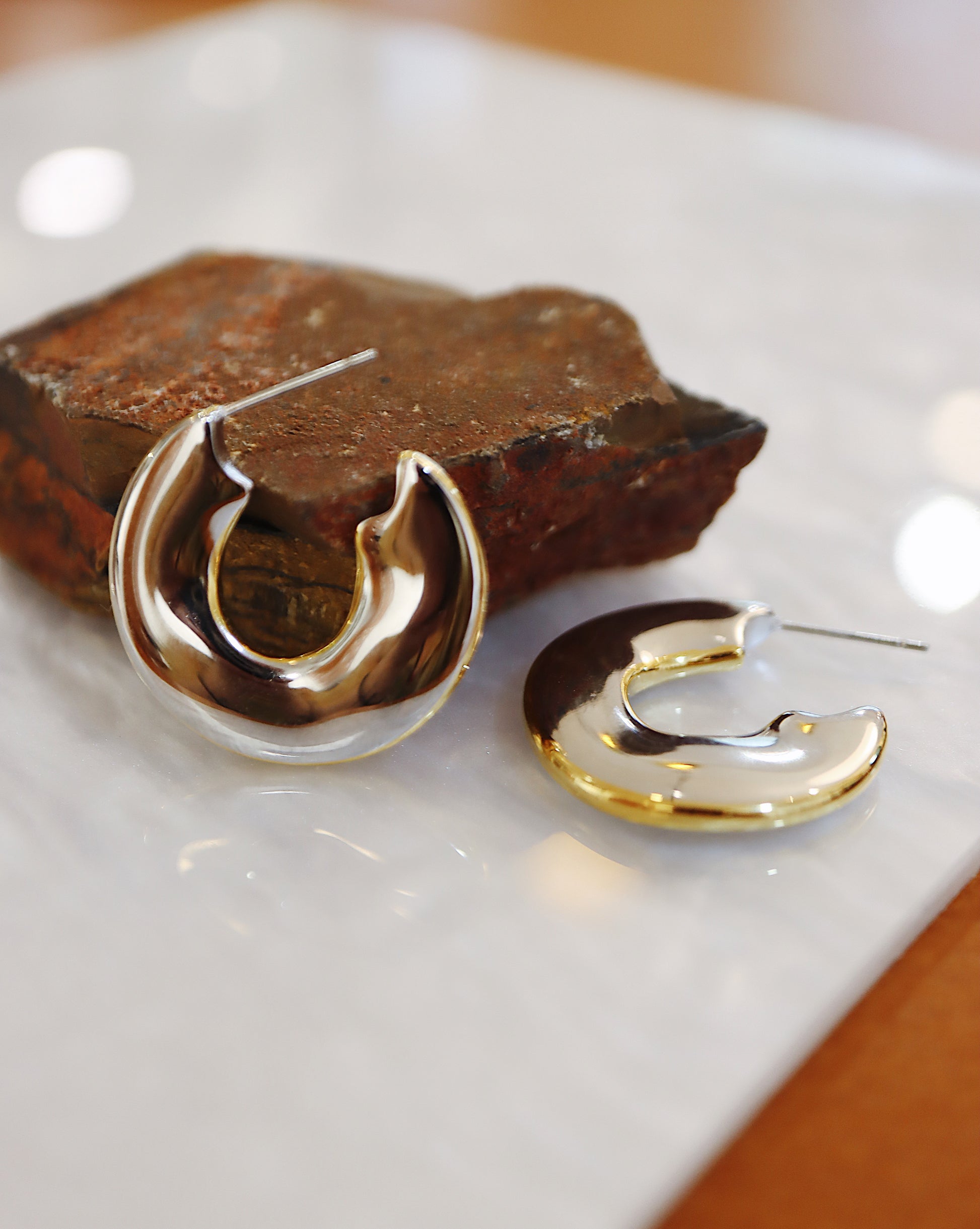 Two tone shiny stainless steel earrings