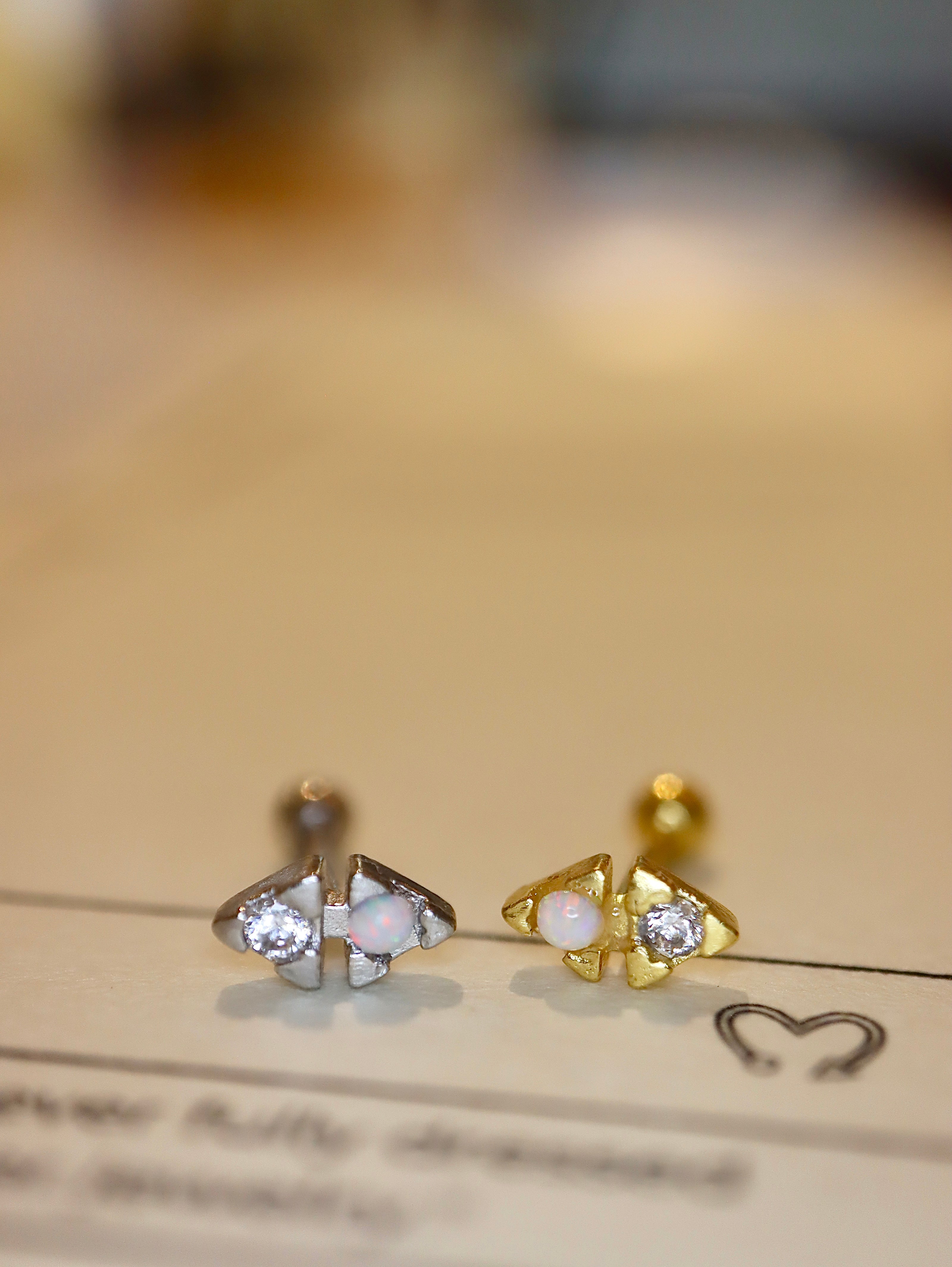 Dual-Stone Geometric Piercing 925 silver Stud Earring (1pc)