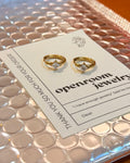 Cz hinged hoop stainless steel earrings