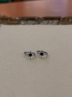 Starburst Stainless Steel Earrings