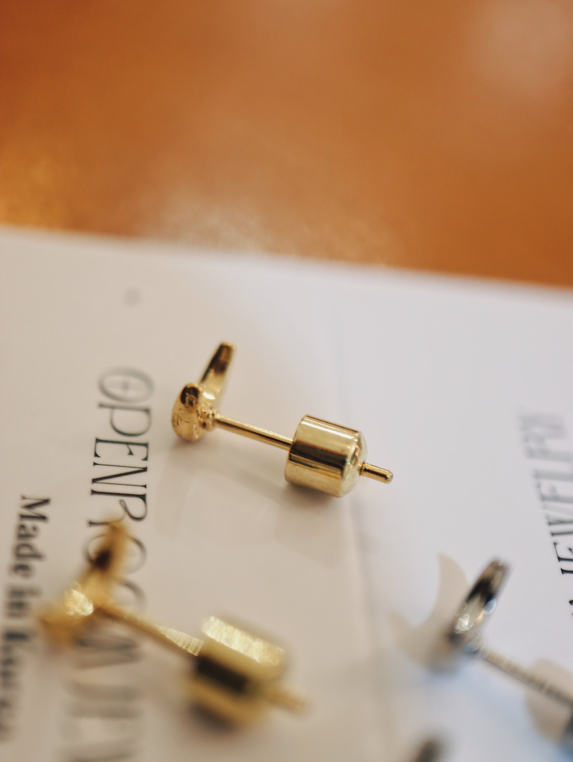 Crescent stainless steel earrings