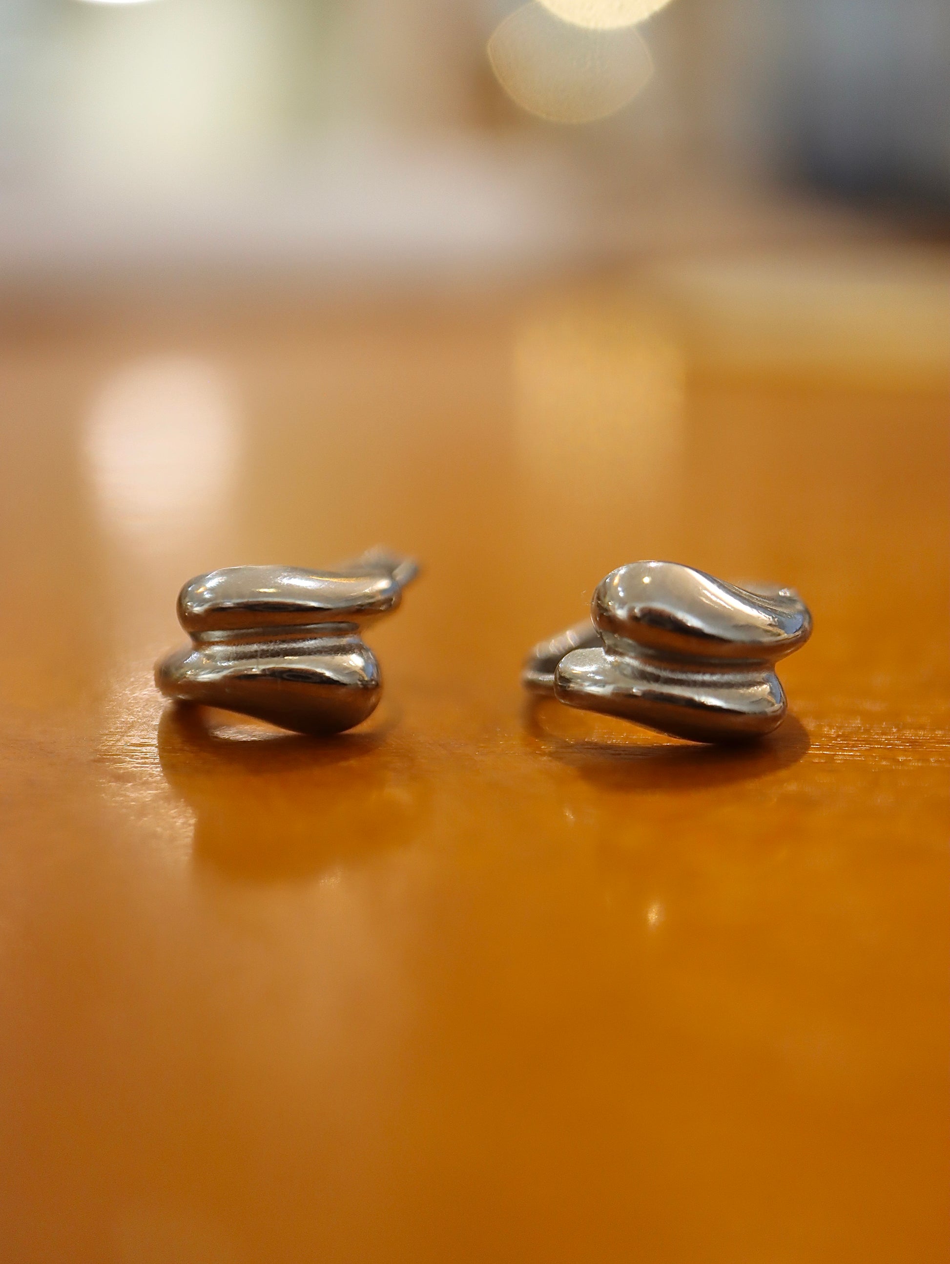 Double Clasp Stainless steel earrings