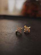Stellar Surgical Steel Earrings