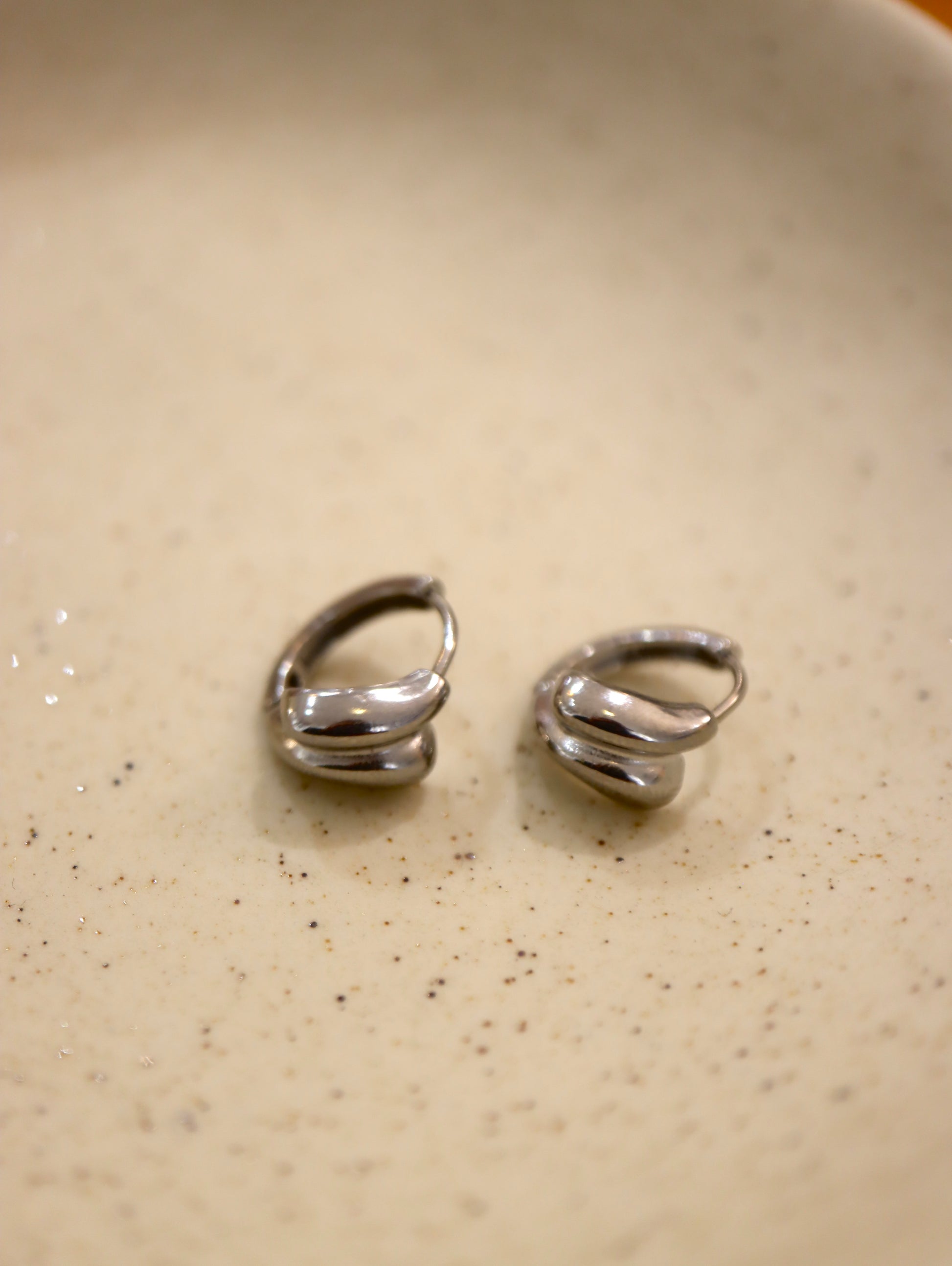 Double Clasp Stainless steel earrings