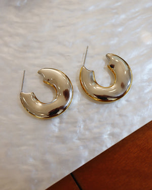 Two tone shiny stainless steel earrings