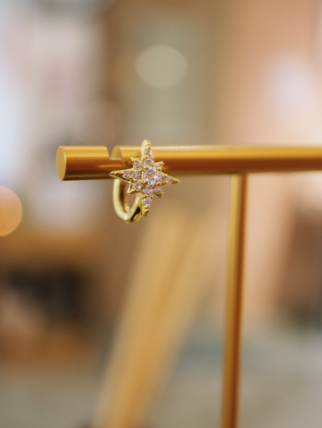 Stellar Surgical Steel Earrings