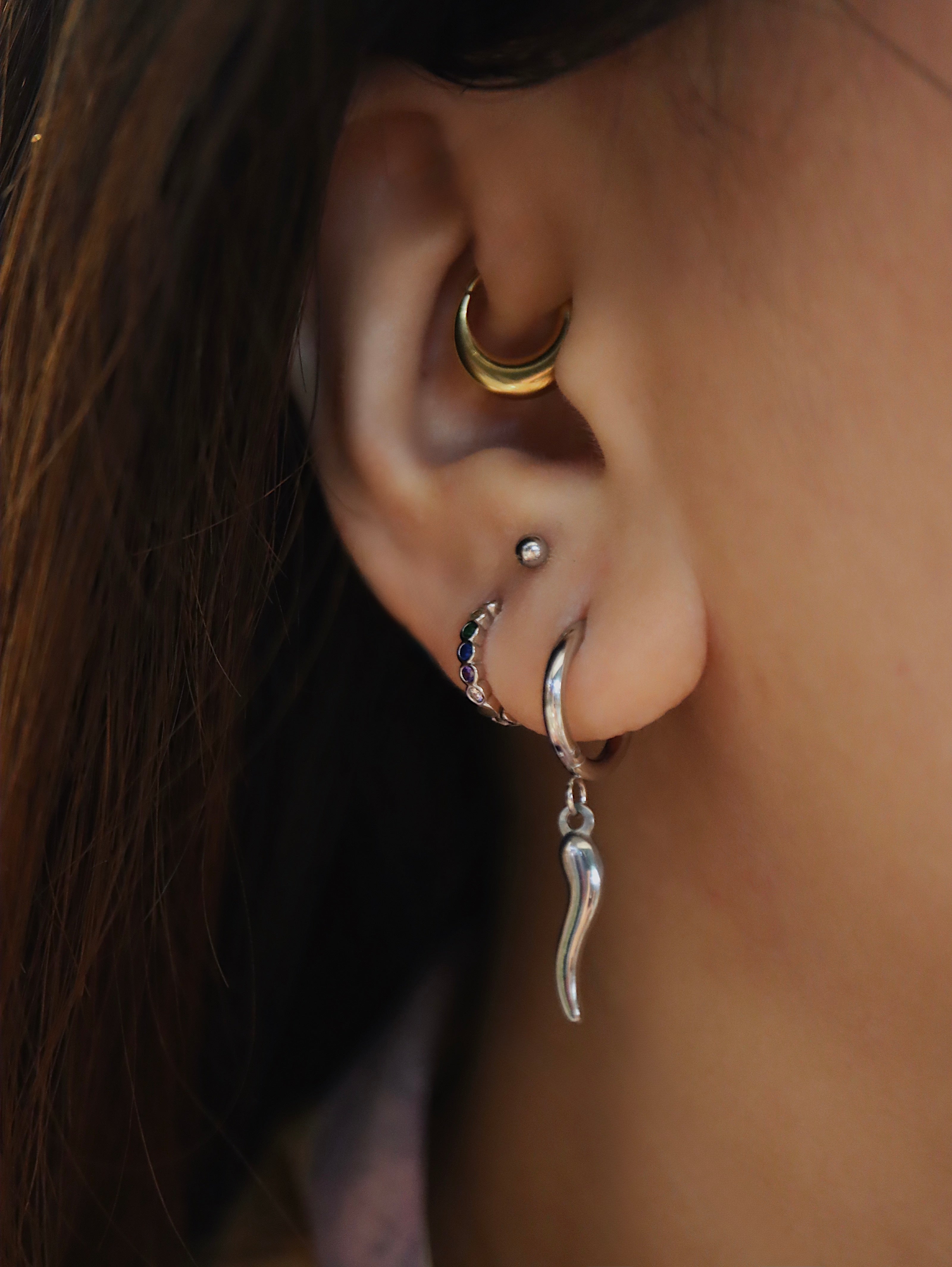 Stainless steel horn hoop earrings