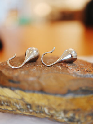 Stainless Steel Teardrop Hook Dangle Earrings