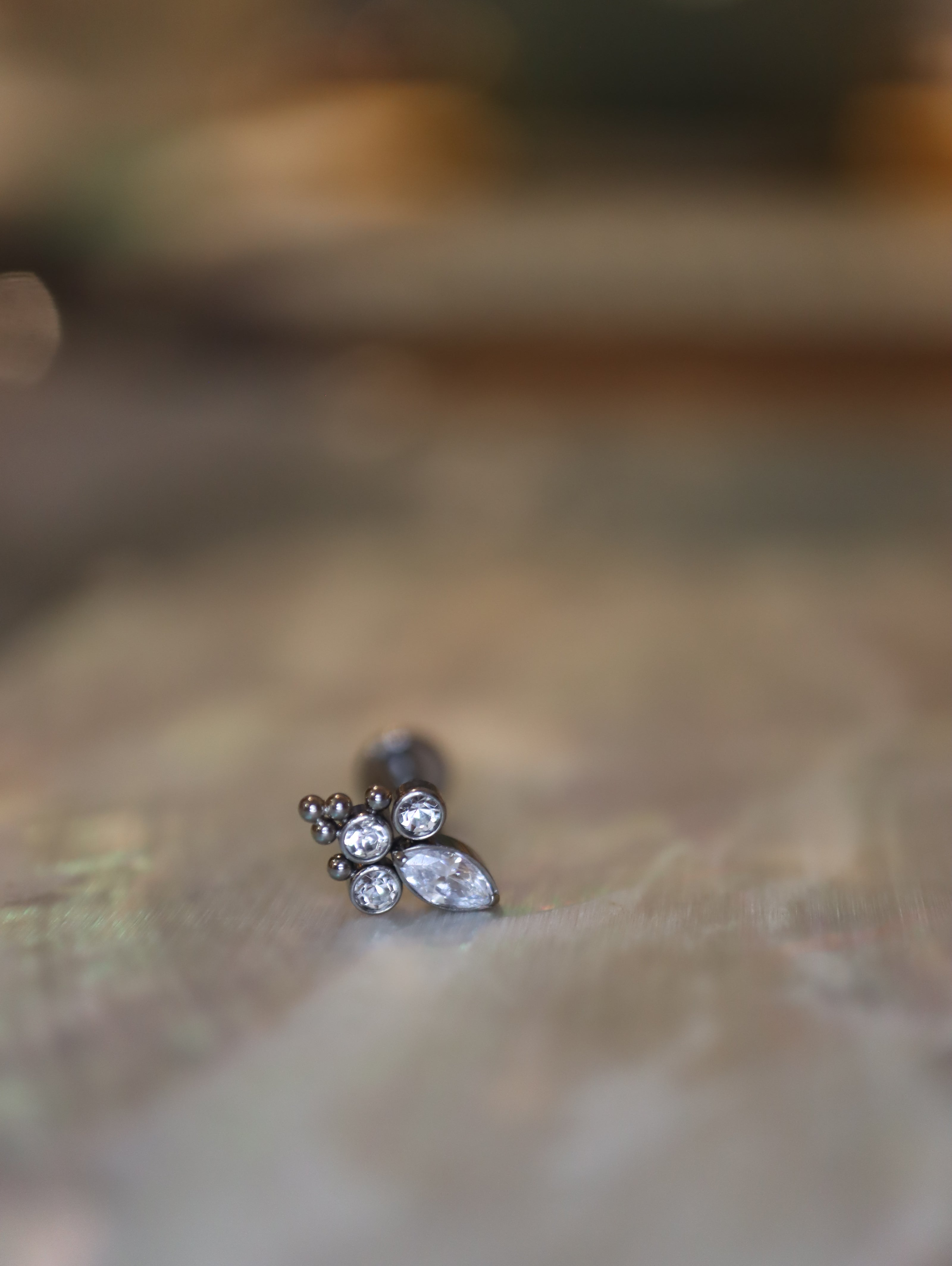Titanium G23 Trinity Marquise Cluster Stud Earring