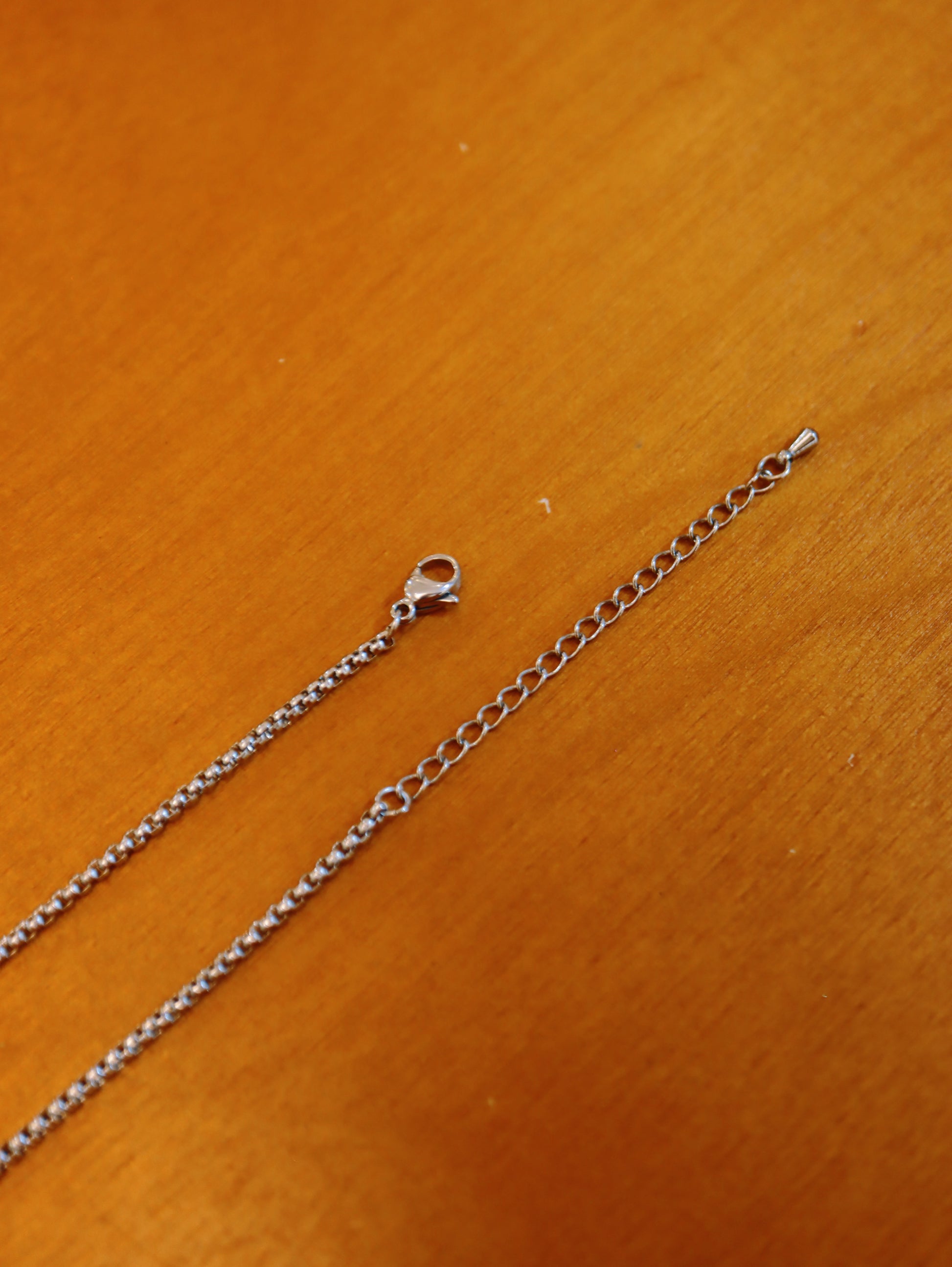 Thorn heart stainless steel steep necklace
