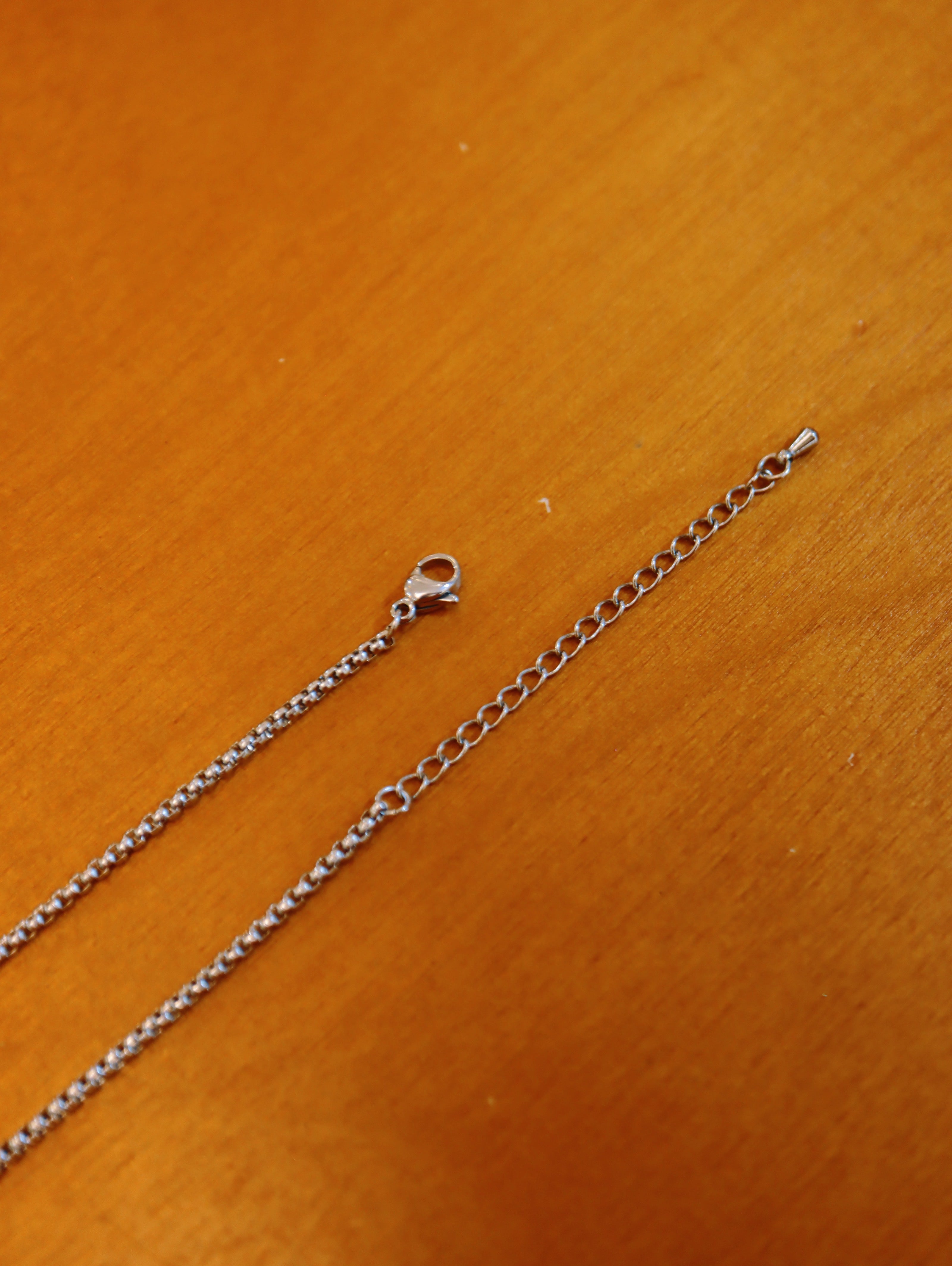 Thorn heart stainless steel steep necklace