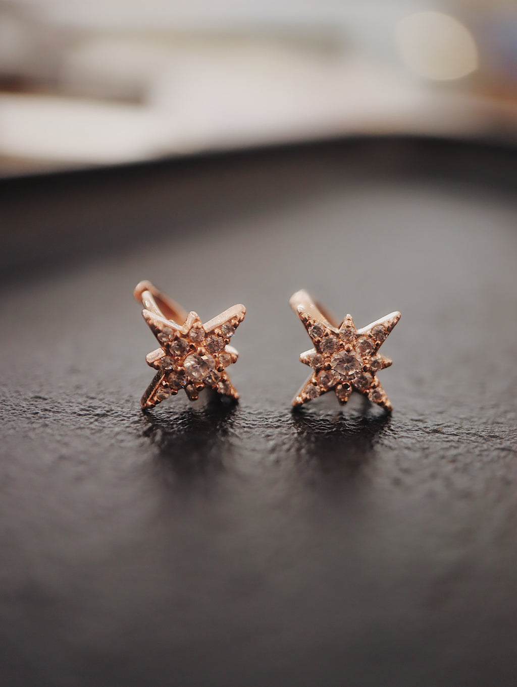 Stellar Surgical Steel Earrings